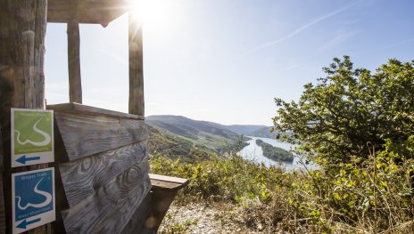 Rhein Wisper Glück | © M. Igel