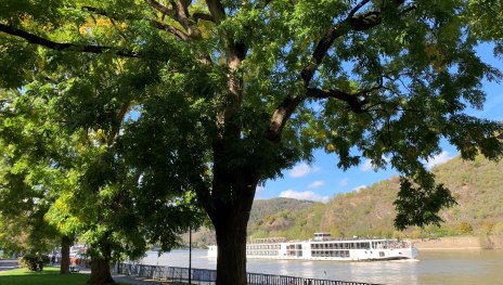 Rheinallee | © Tourist Information Boppard