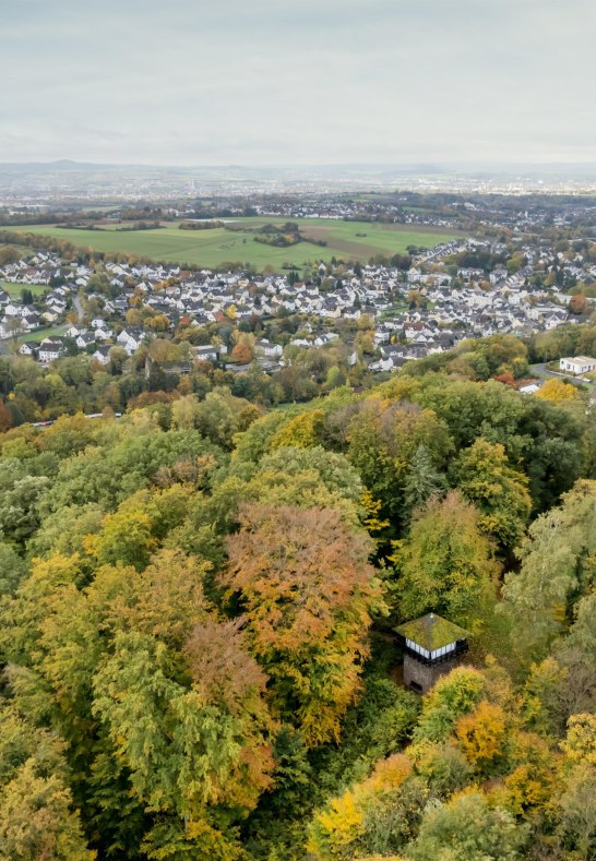 Römerturm im Herbstwald | © Andreas Pacek, fototour-deutschland.de