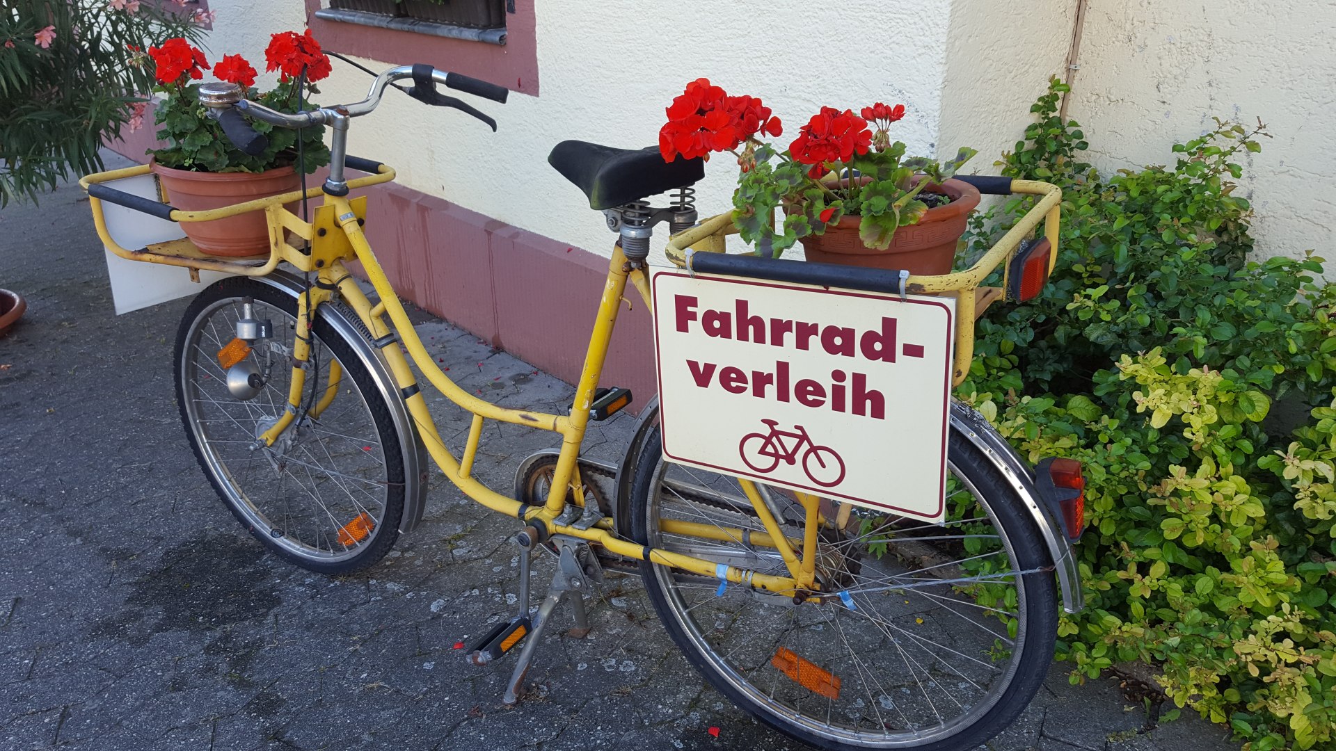 Fahrradverleih, Rhens | © Kevin Kalfels