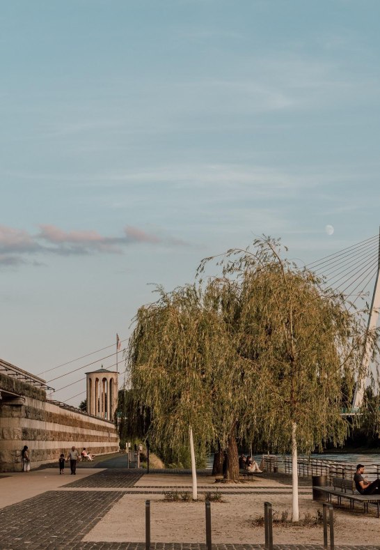 Deich mit Pegelturm und Rheinbrücke | © Zimpfer_Photography