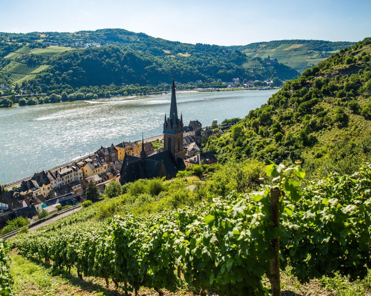 Blick auf Lorch | © Henry Tornow