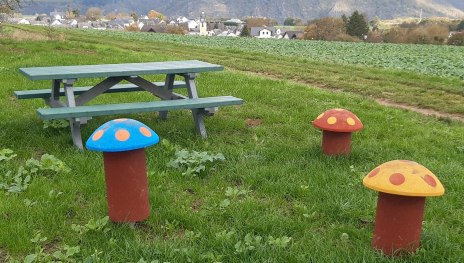 Picknickbank mit Taunusblick | © T. Biersch