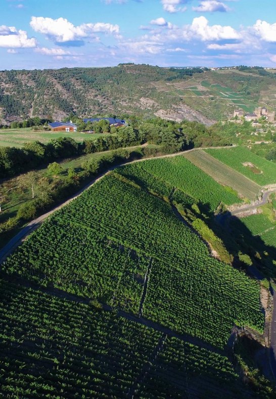 Weingut Lanius-Knab Engehöller Bernstein Am Lauerb | © Lanius-Knab