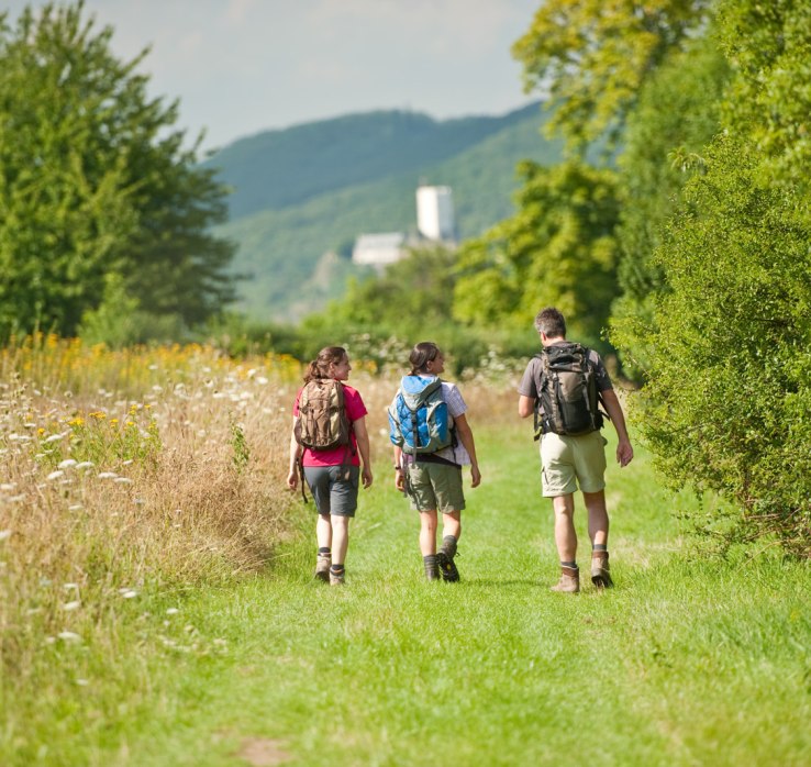 Ziehlay bei Boppard-Weiler | © Dominik Ketz