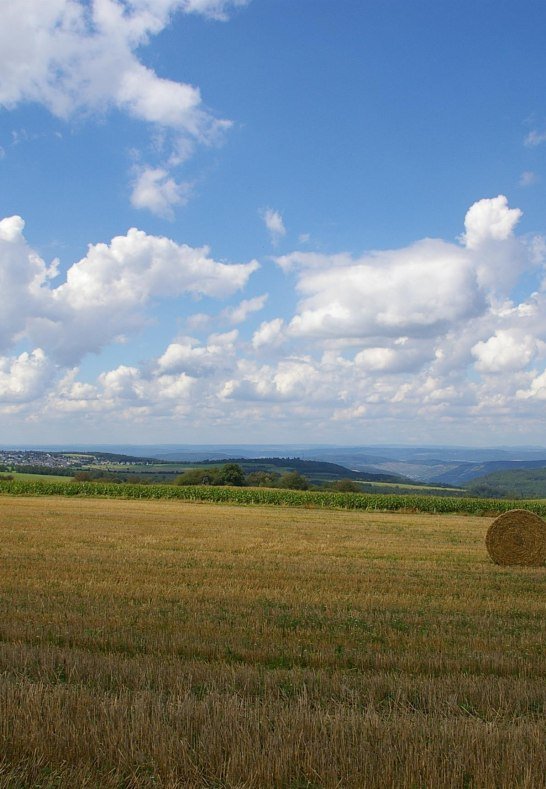 Blick auf Oppenhausen_1 | © Margit Gronen