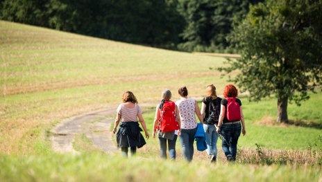 Wandern rund um Eich | © Tourist-Information Andernach, 90Grad Photography/Hilger & Schneider GbR