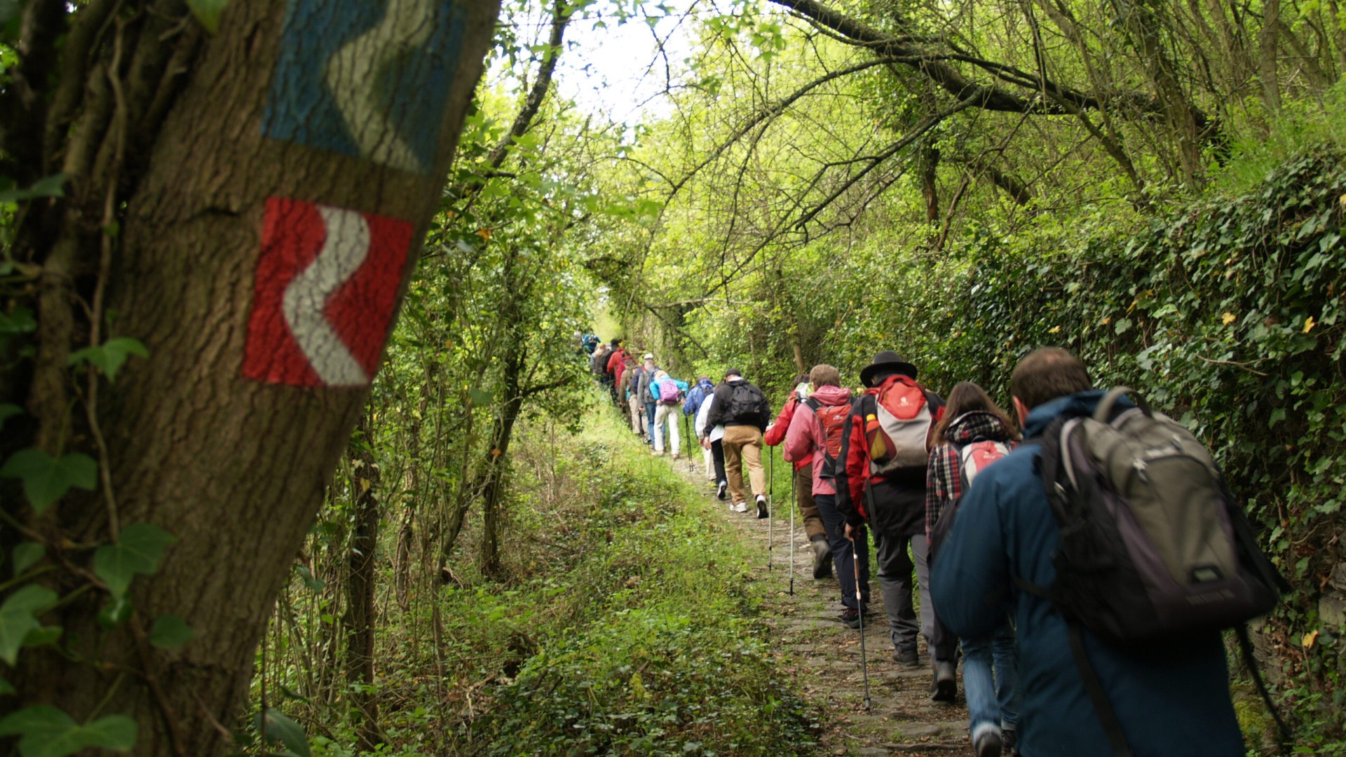 Wandergruppe auf der Loreley-Extratour | © Wolfgang Blum