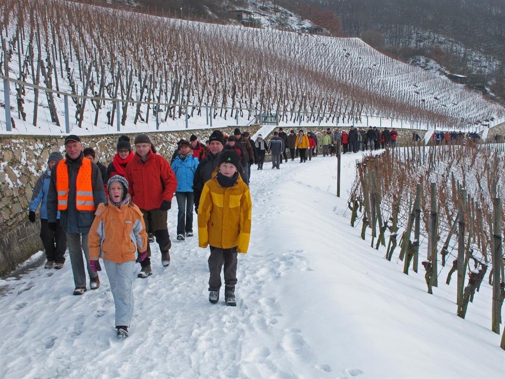 Weinlehrpfad | © Norbert Schmiedel