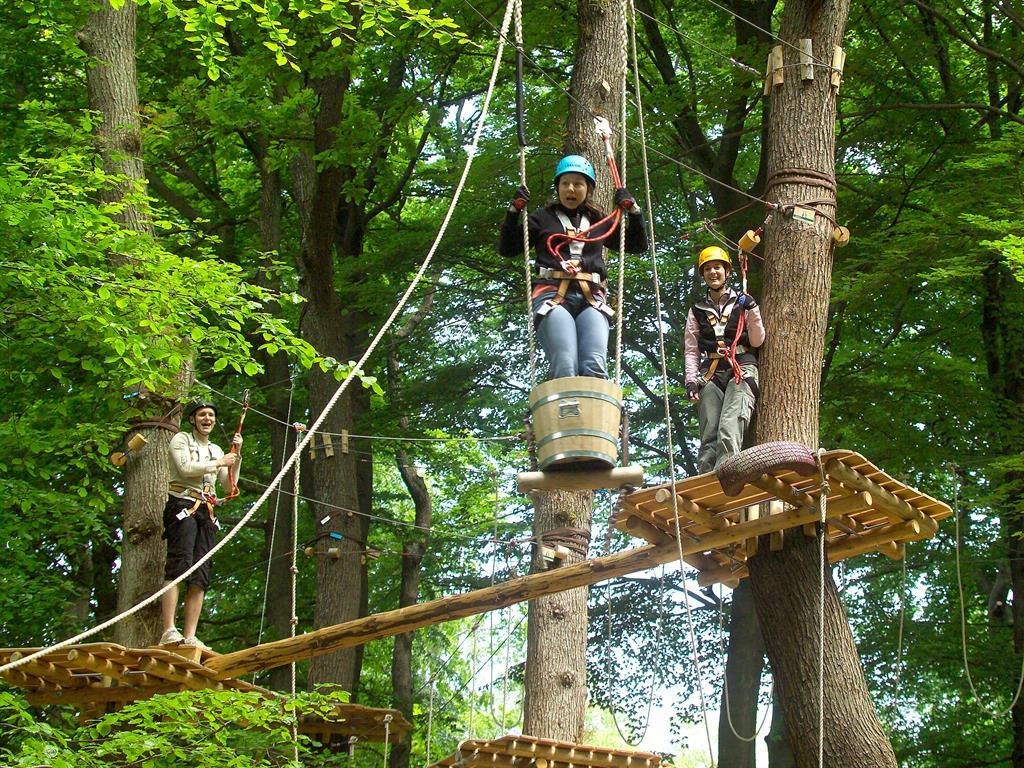 Kletterwald Lauschhütte | © Stadt Bingen am Rhein