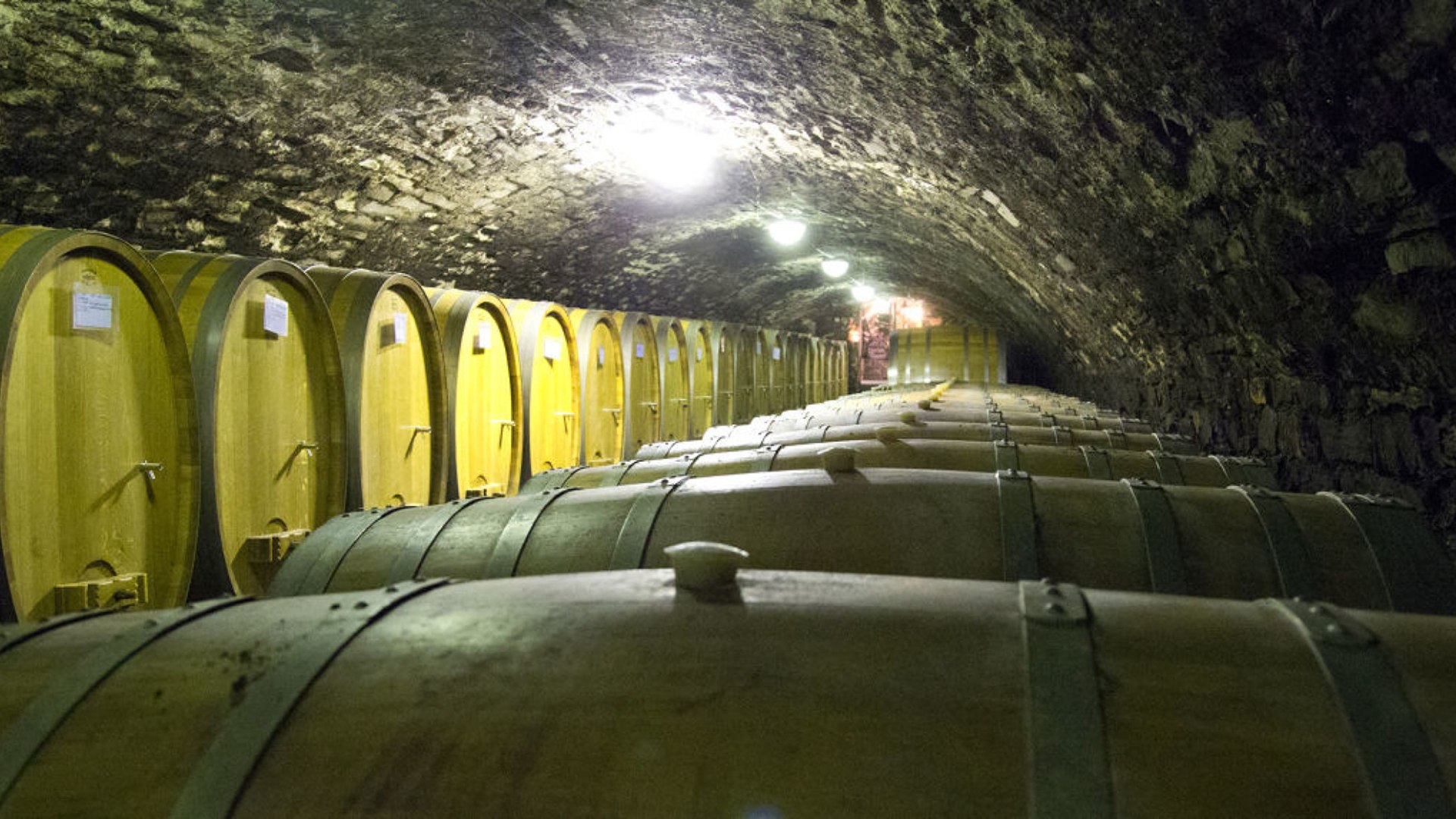 Wine cellar | © Holger Bernert / Rheinland-Pfalz Tourismus GmbH