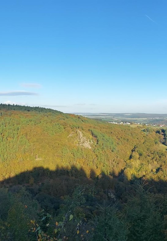 Vogelsnack im Herbst | © B. Vogt