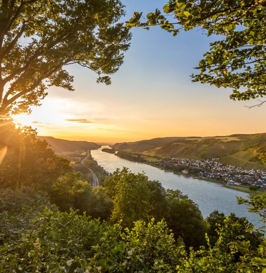 Blick vom Krahnenberg Andernach auf das Rheintal und die Weinberge von Leutesdorf | © Andernach.net GmbH / 90Grad Photography