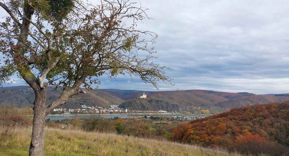 Herbst | © TI Erlebnis Rheinbogen