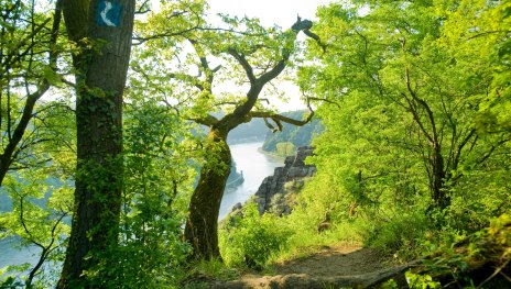 Spitznack & Loreleyfelsen | © Dominik Ketz, Rheinland-Pfalz Tourismus GmbH