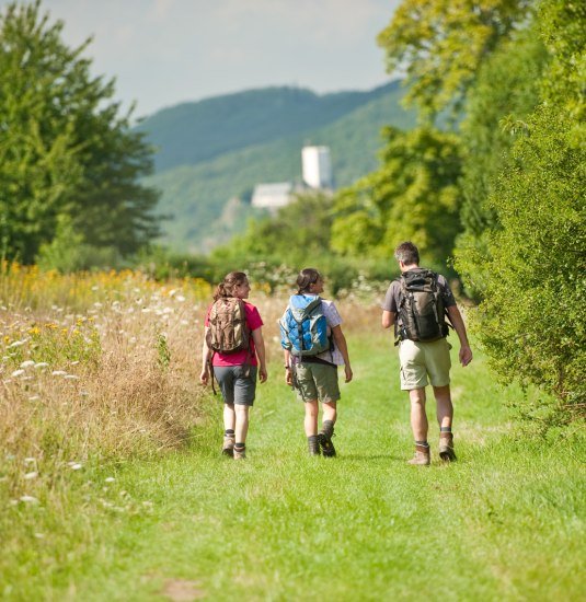 Ziehlay bei Boppard-Weiler | © Dominik Ketz