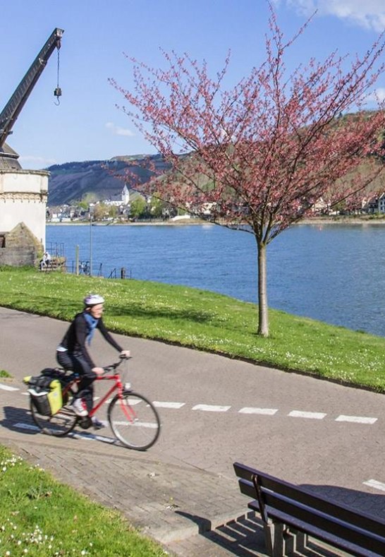 Radfahrer auf dem Rhein Radweg | © Andernach.net